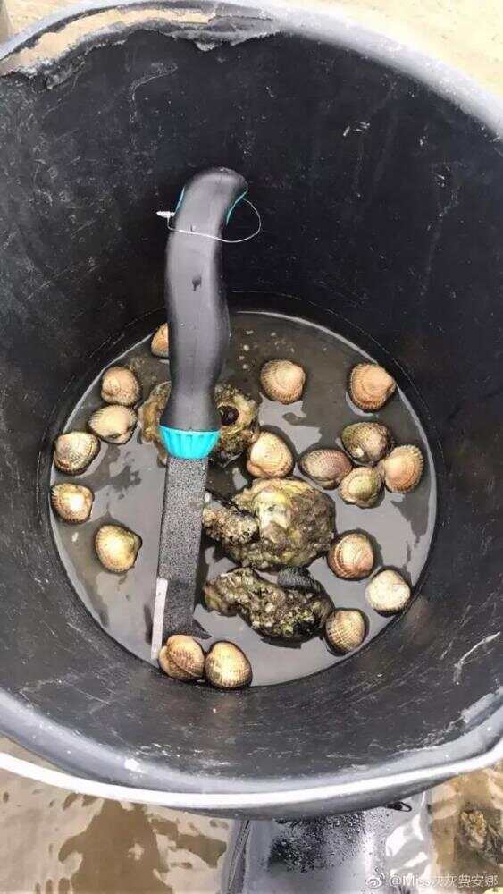 WeChat Image_20170511153203.jpg
