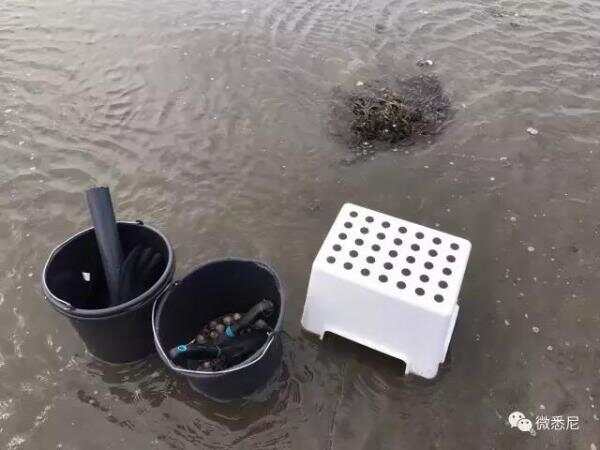 WeChat Image_20170511153208.jpg