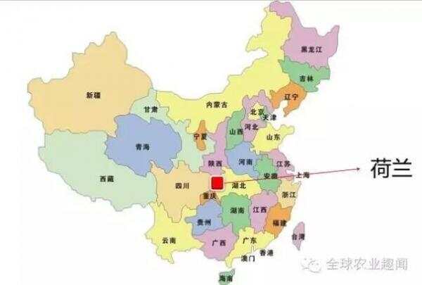 中国2.2亿农民干不过荷兰22万农民，生产率只有荷兰千分之一