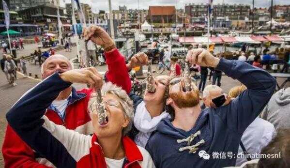 鹿特丹这家鱼店有今年最好的鲱鱼|在荷兰吃鲱鱼必知7件事