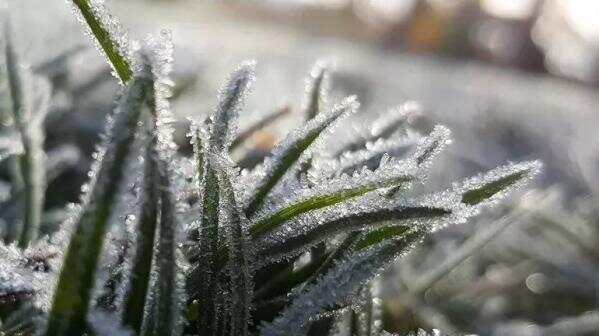 周日降温至-4℃！霜冻+冷雨+寒风，重新开启荷兰式冬天…