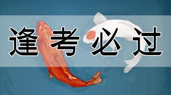 6个月把荷兰语学到通过永居考试！有这种大神攻略，为啥不早发出来！ ... ... ...