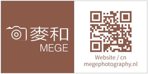 mege-website.png