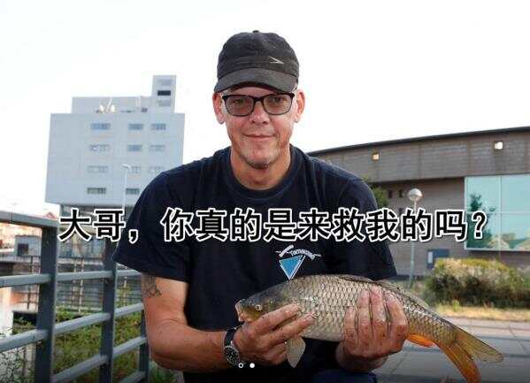 117年来最热！可荷兰这里只有14°C…