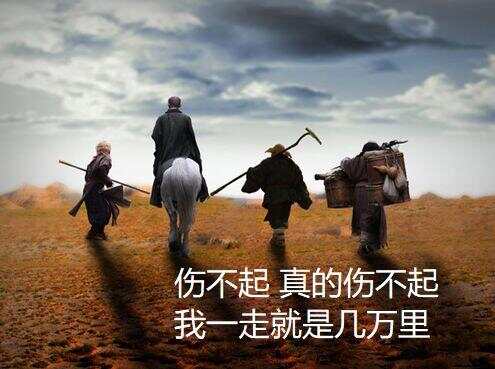NS停运10天？Utrecht直达火车全取消！
