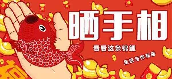 听说在荷乐圈晒手相能赢机票？