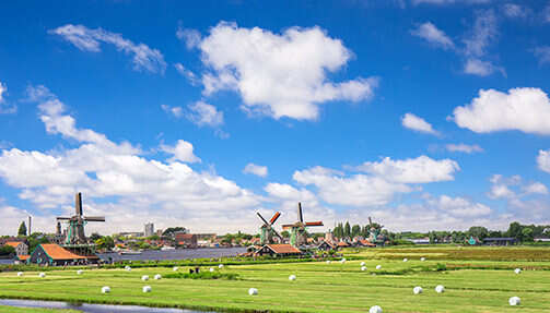 Boat-cruise-zaanse-schans-11-503x287.jpg