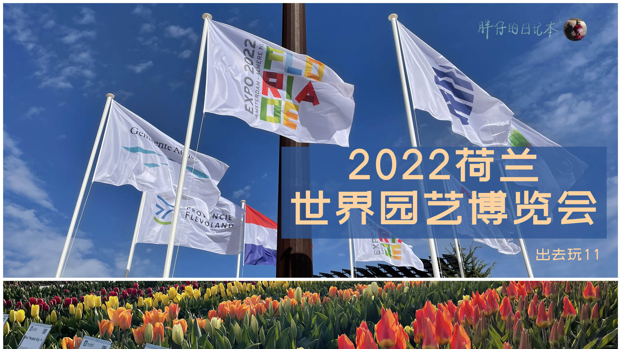图1  2022荷兰世界园艺博览会