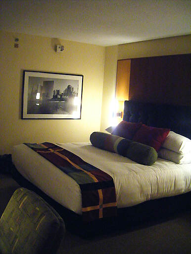 1 Hyatt room.jpg