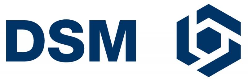 6183dsm_logo.jpg