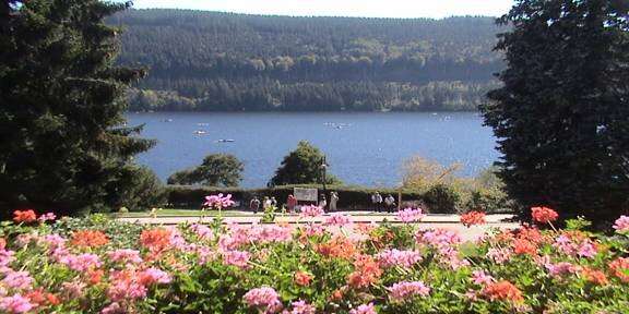 spinmillerpage1titisee.jpg