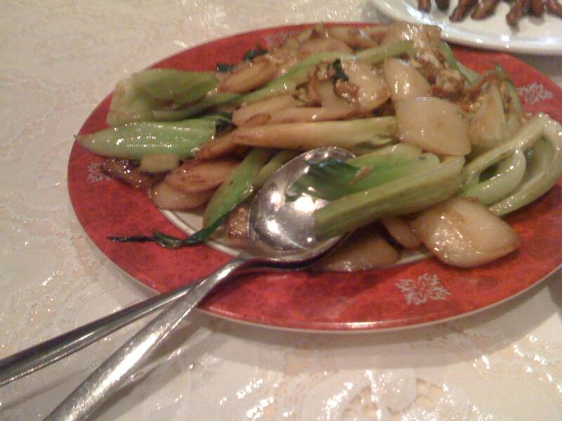 Picture 247.jpg