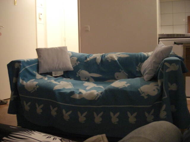 沙发-可打开变成双人床.JPG