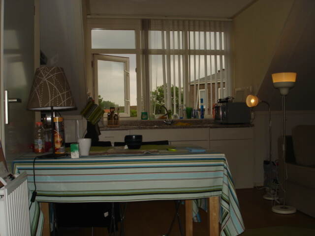 小餐桌和客厅这边的窗户