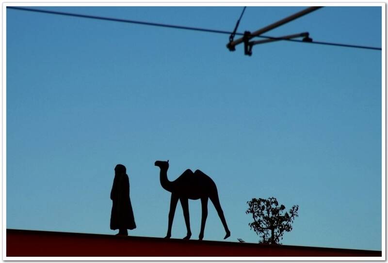 朝路的一边是一人一骆驼，西行而去，莫非是？！