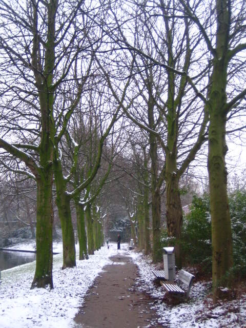 winterinLeiden (38).JPG