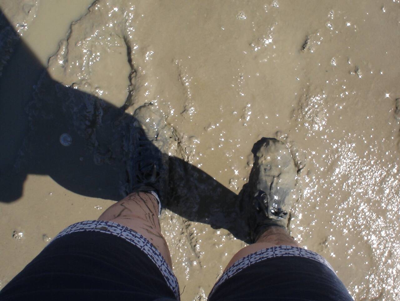 徒步渡海：mudflat.jpg