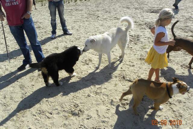 Loonse en Drunense Duinen 069.JPG