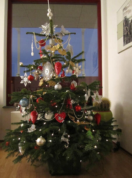 christmas tree.jpg