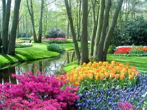Keukenhof_-_a_Beautiful_Flowers_Garden_in_Holland.png