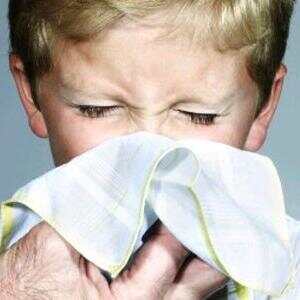 过敏性鼻炎,荷兰有什么药可以用啊???