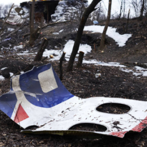MH17被击落事件：多国空难遗属向普京索偿，大马首相泼冷水
