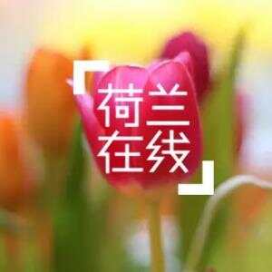 郁金香改变了全世界？得从一场拍卖说起